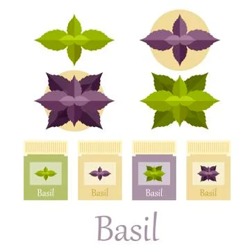 Basil icons set Stock Illustration
