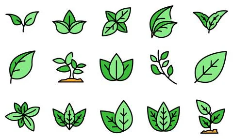 Basil icons set vector flat Illustrazione stock