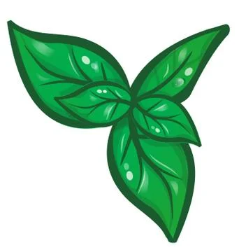 Basil  isolated on white background Stock-Illustration