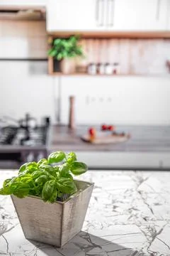 Basil on kitchen table, with kitcken blur on background Stock Photos