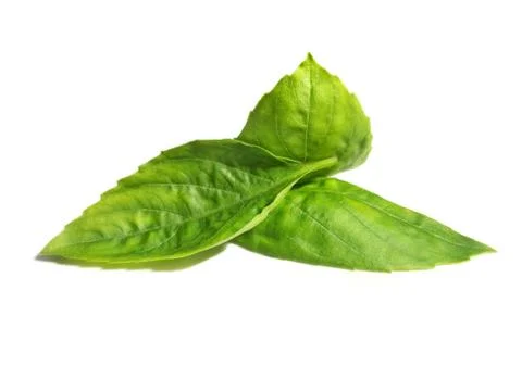 Basil leaf Closeup Herb Green Fresh Foto stock