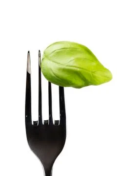 Basil leaf on fork Stock Photos