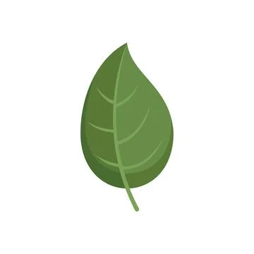 Basil leaf icon flat vector. Herb leaves Stock Illustration