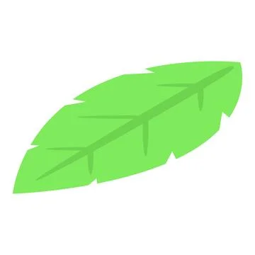 Basil leaf icon isometric vector. Fresh herb Stock Illustration