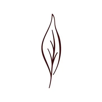 Basil leaf icon on line art style. Perfect for food design, herbal packaging Stock Illustration