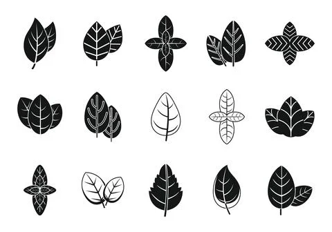 Basil leaf icons set simple vector. Agriculture healthcare Stock Illustration