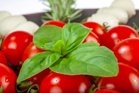 Basil leave on tomatoes Stock Photos