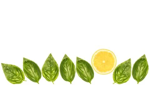 Basil leaves and lemon slice Stock Photos
