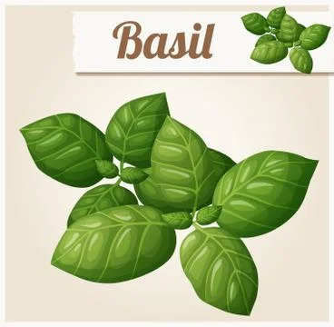 Basil leaves. Detailed Vector Icon Stock Illustration
