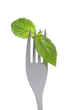 Basil leaves on a fork Stock Photos