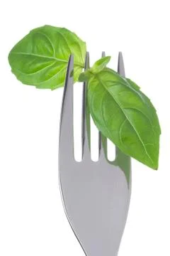 Basil leaves on a fork Stock Photos