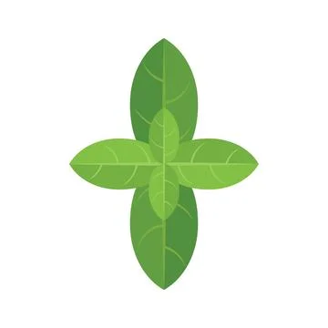 Basil leaves icon flat vector. Herb plant Illustrazione stock