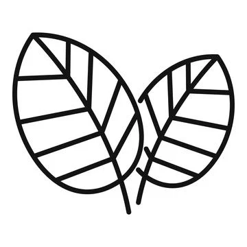 Basil leaves icon outline vector. Herb plant Stock Illustration
