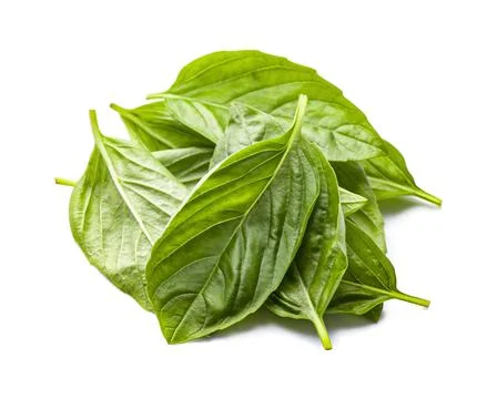 Basil leaves isolated Foto stock