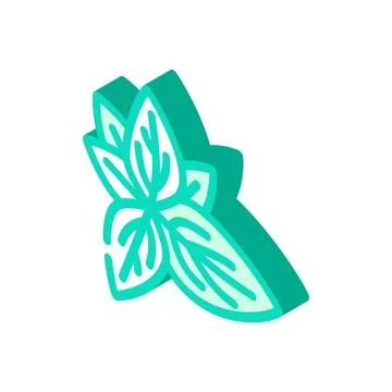 Basil leaves isometric icon vector illustration Stock Illustration