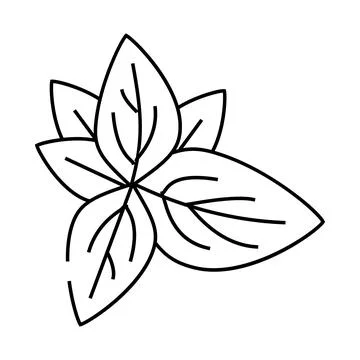 Basil leaves line icon vector illustration Stock Illustration