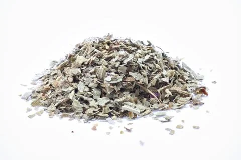 Basil Leaves Stock Photos
