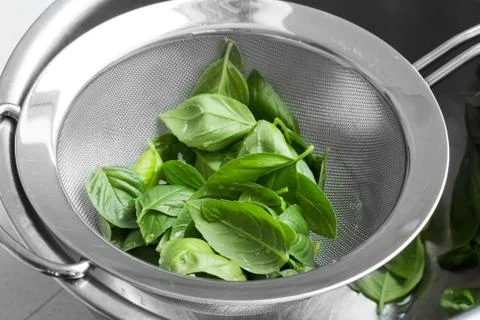 Basil leaves in sieve Stock Photos