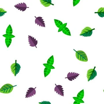Basil Leaves Vector Seamless Pattern Stock Illustration