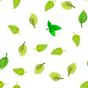 Basil Leaves Vector Seamless Pattern Stock Illustration