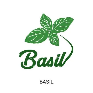 Basil logo isolated on white background for your web, mobile and app design Stock Illustration