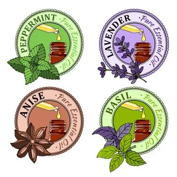 Basil, Mint, Lavender, Anise. Set of essential oil labels. Stock Illustration