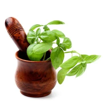 Basil in Mortar with Pestle Stock Photos