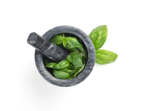 Basil in mortar on white background Stock Photos