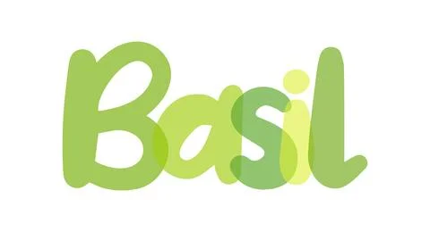 Basil, Ocimum basilicum, king of herbs, great basil Stock Illustration