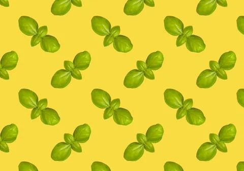 Basil pattern isolated on yellow background. Frame made of basil leaves. Foto stock