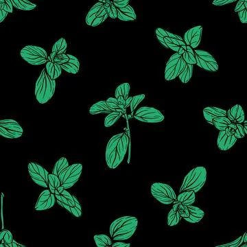Basil Pattern. Italian herbs.A sprig of marjoram 스톡 일러스트