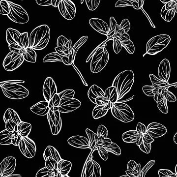 Basil Pattern. Italian herbs.A sprig of marjoram. Stock Illustration