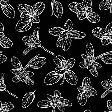 Basil Pattern. Italian herbs.A sprig of marjoram Stock Illustration