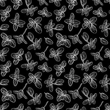 Basil Pattern. Italian herbs.A sprig of marjoram Illustrazione stock
