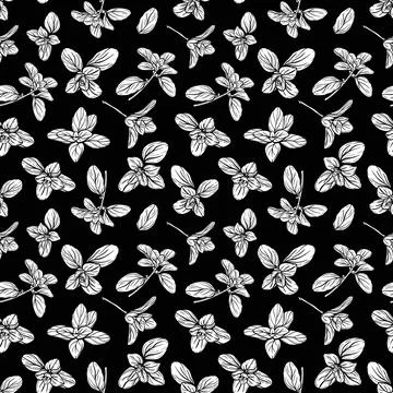 Basil Pattern. Italian herbs.A sprig of marjoram Stock Illustration