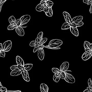 Basil Pattern. Italian herbs.vector illustration Stock Illustration