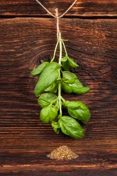 Basil. Stock Photos