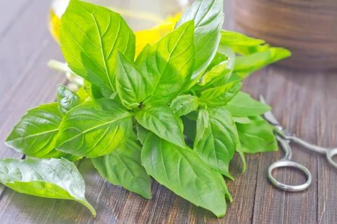 Basil Stock Photos