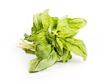 Basil Stock Photos