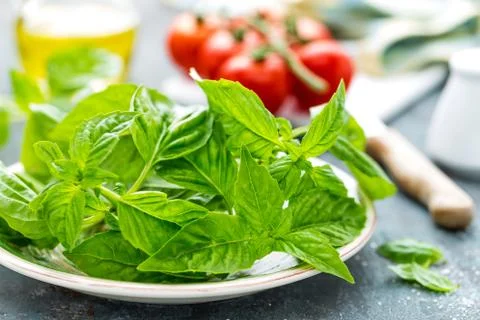 Basil Stock Photos