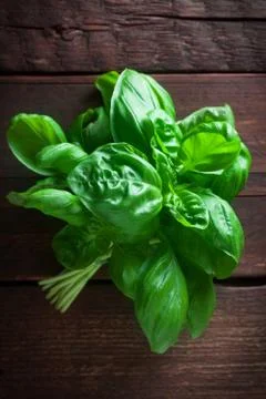 Basil Stock Photos