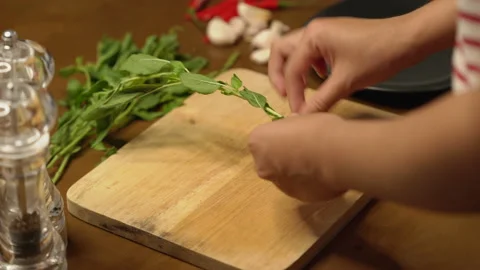Basil picking side shot Stock Footage 149029385