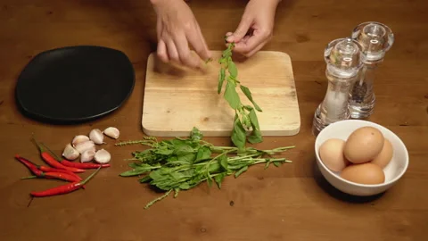 Basil picking top shot Stock Footage 149029677