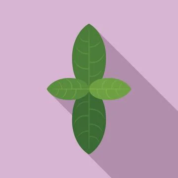 Basil plant icon flat vector. Leaf herb Stock Illustration