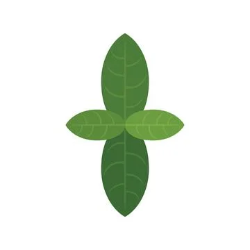 Basil plant icon flat vector. Leaf herb Illustrazione stock
