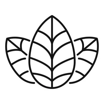 Basil plant icon outline vector. Leaf herb Stock Illustration