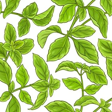Basil plant vector pattern Stock Illustration