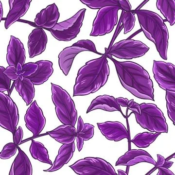 Basil plant vector pattern Illustrazione stock