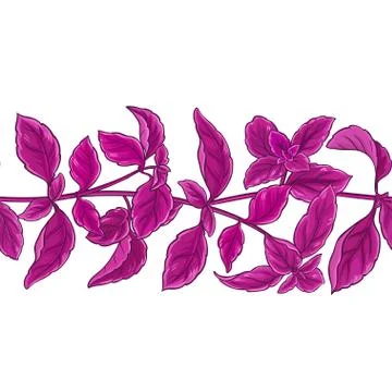 Basil plant vector pattern Stock Illustration