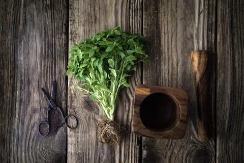 Basil, scissors and mortar on old boards Stock Photos